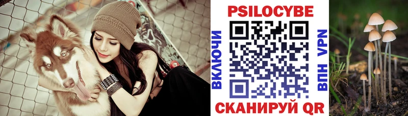 как найти наркотики Таруса Галлюциногенные грибы Cubensis